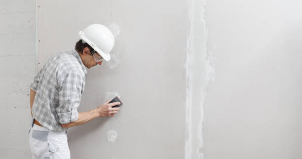 Best Repainting for Renovations  in Folsom, PA