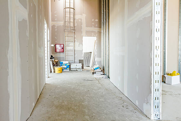 Best Drywall Sanding and Smoothing  in Folsom, PA